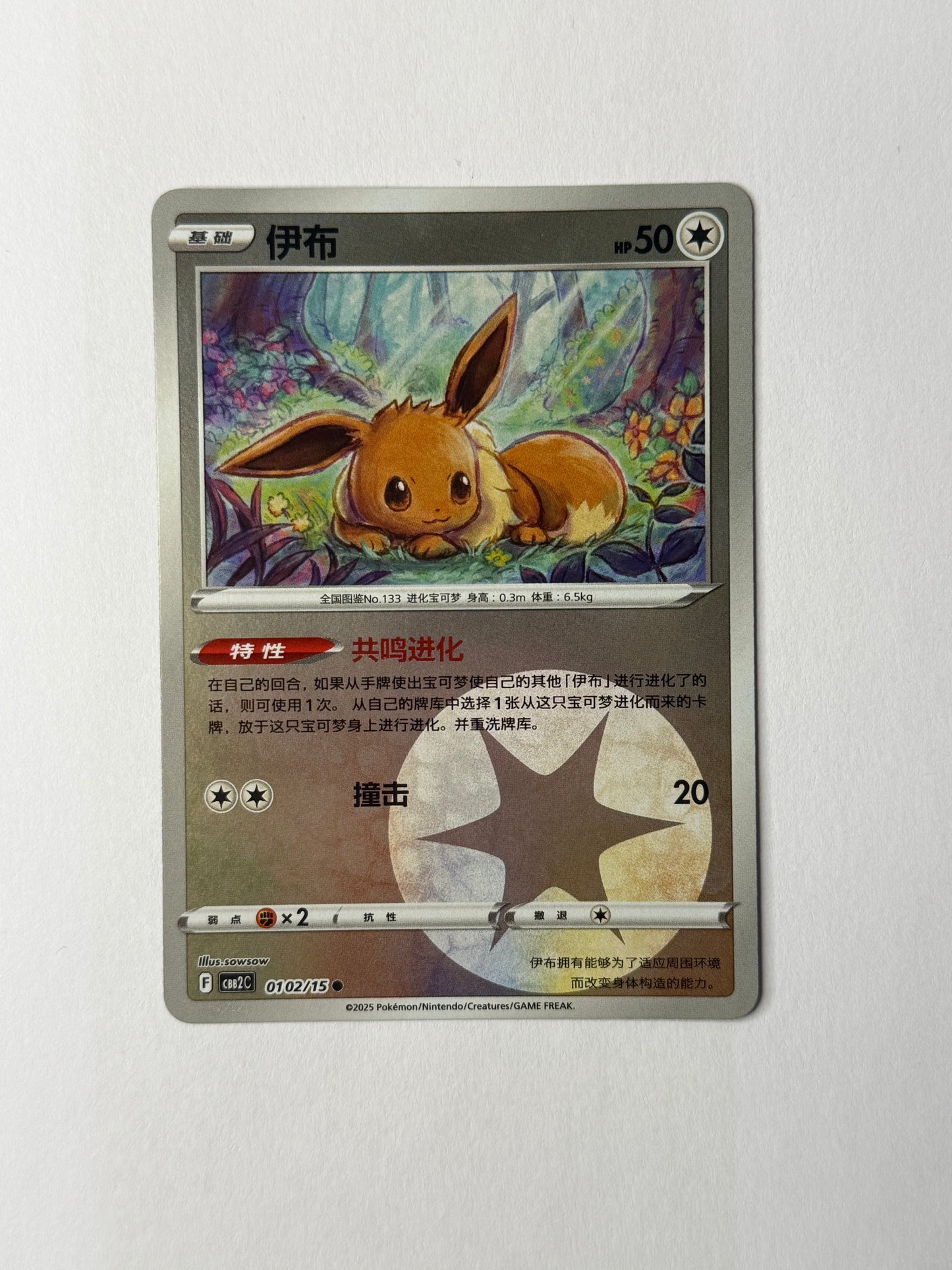 Eevee #102 Holo
