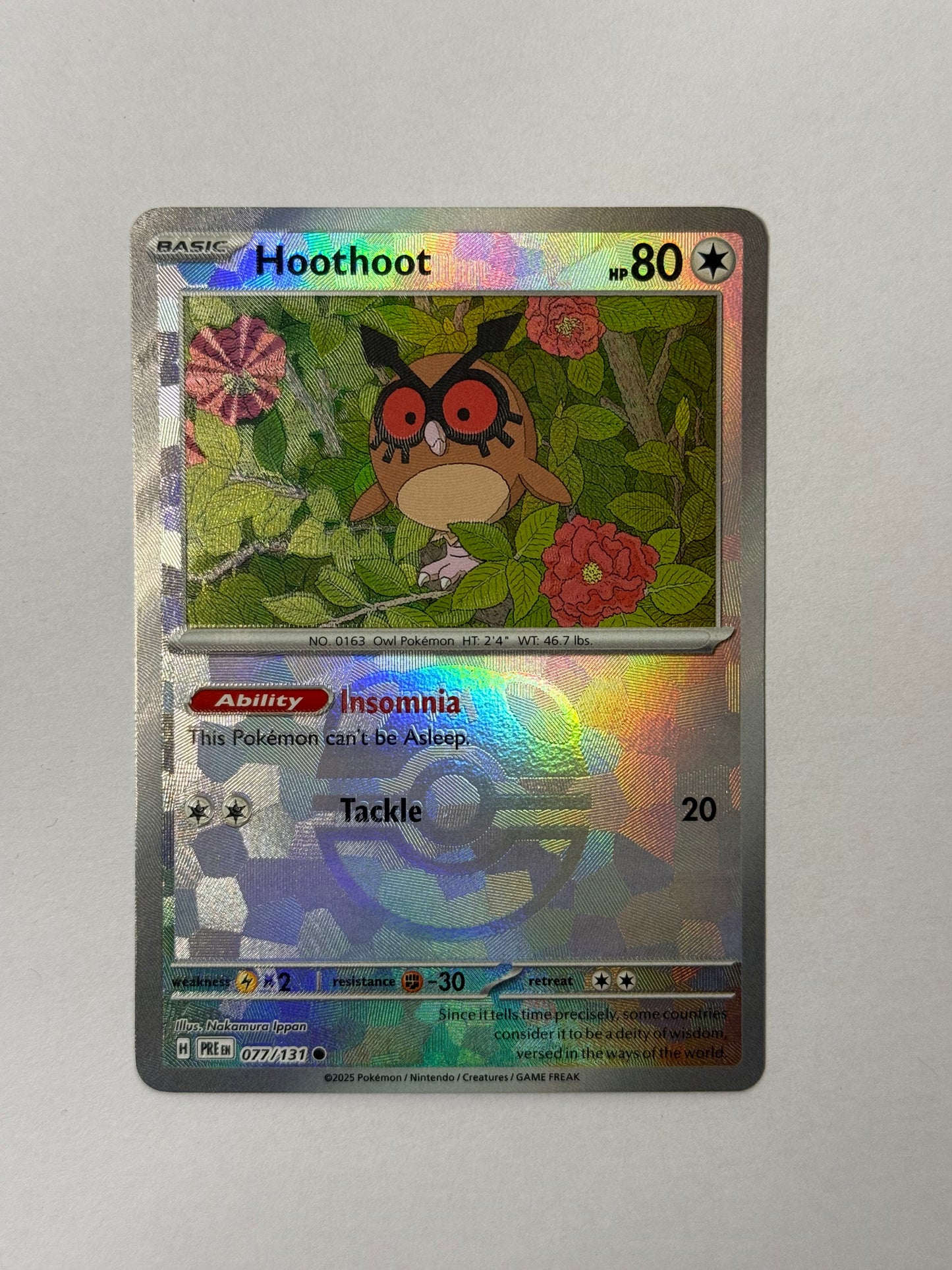 Hoothoot #077/131 NM MasterBall